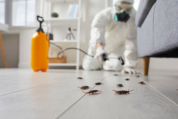 Commercial Kitchen Cockroach Control in Dayton